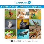 Найдите кошек на картинке!