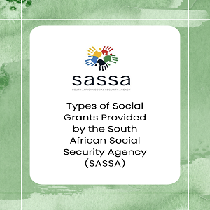 Types of Social Grants Provided by the South African Social Security Agency (SASSA)