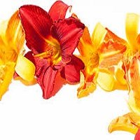 Events 16 Red & Yellow Creative School of Business