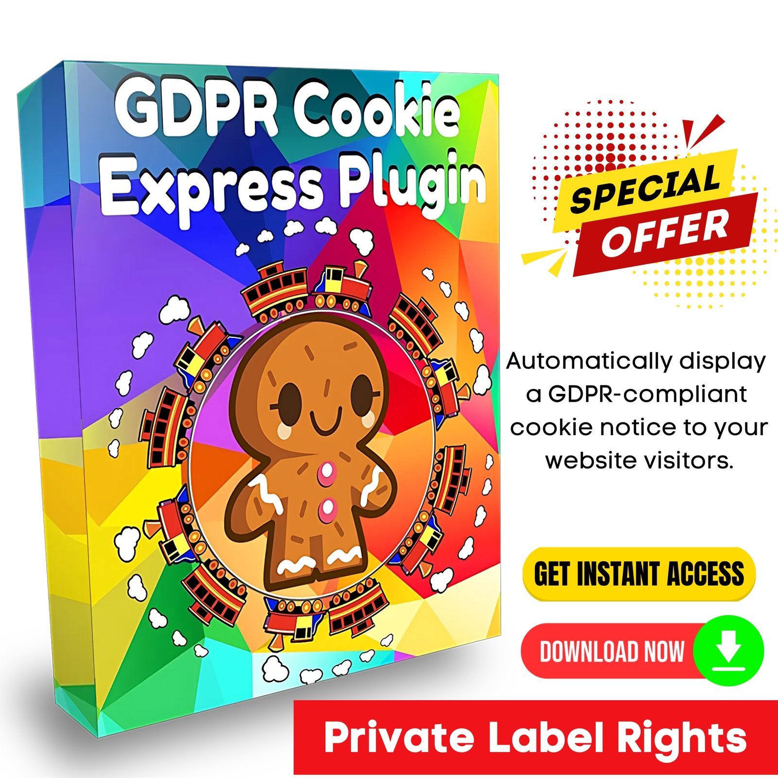 WP GDPR Cookie Express Plugin - PLR Package 1 WP GDPR Cookie Express Plugin - PLR Package