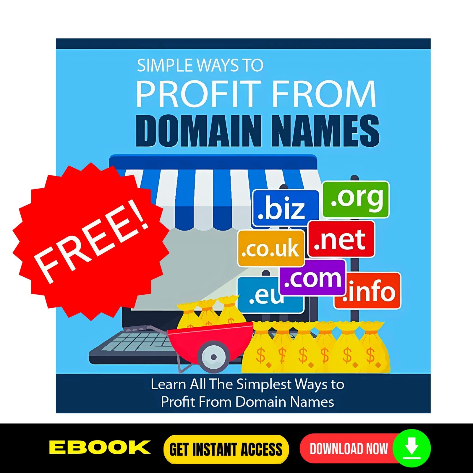 Simple Ways To Profit From Domain Names (FREE eBook) 1 Simple Ways To Profit From Domain Names (FREE eBook)