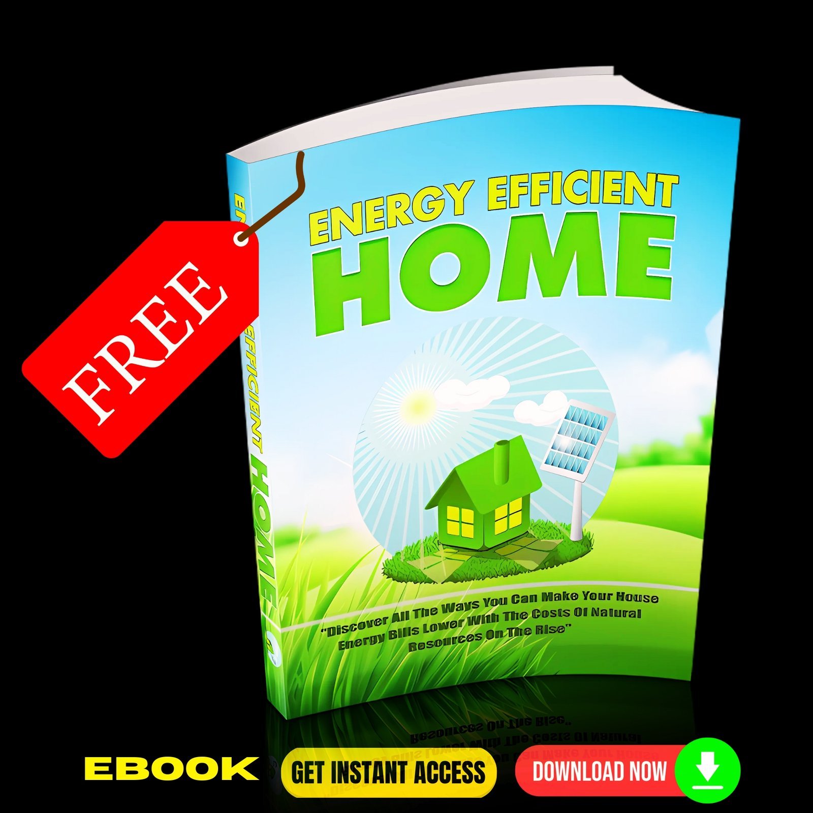 Energy Efficient Home (FREE eBook) 1 Energy Efficient Home (FREE eBook)