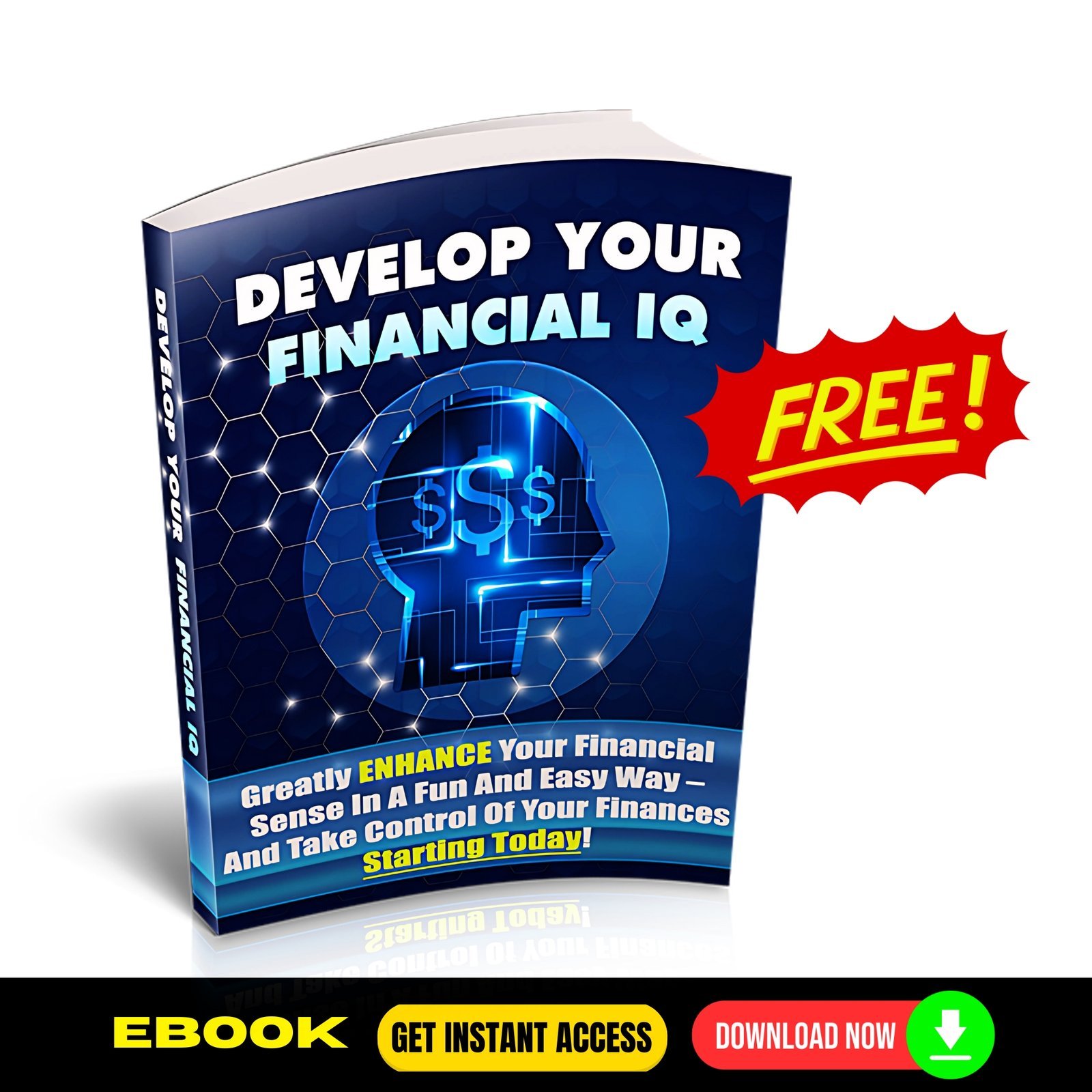 Develop Your Financial IQ (FREE eBook) 1 Develop Your Financial IQ (FREE eBook)