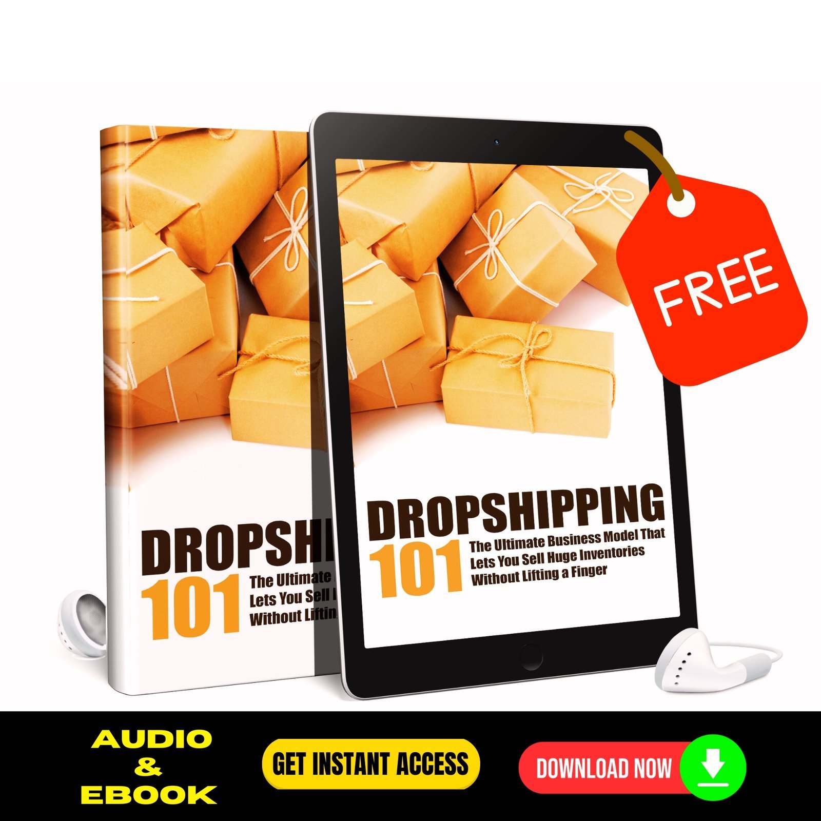 Dropshipping 101 (FREE Audio and eBook) 1 Dropshipping 101 (FREE Audio and eBook)