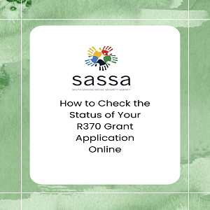 How to Check the Status of Your R370 Grant Application Online