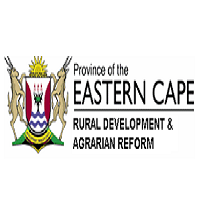 The Eastern Cape Department