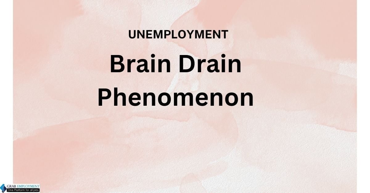 Unemployment and the Brain Drain PhenomenonUnderstanding its Impact on South Africa